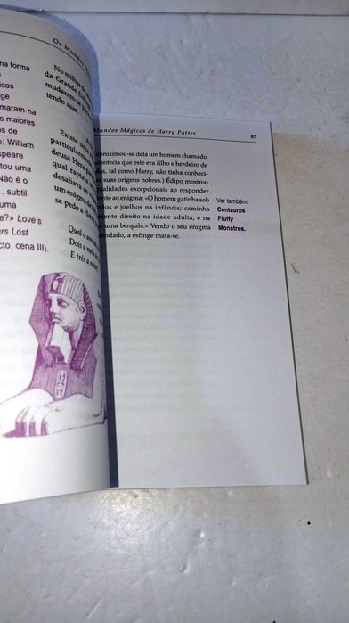 Os Mundos Mágicos de Harry Potter