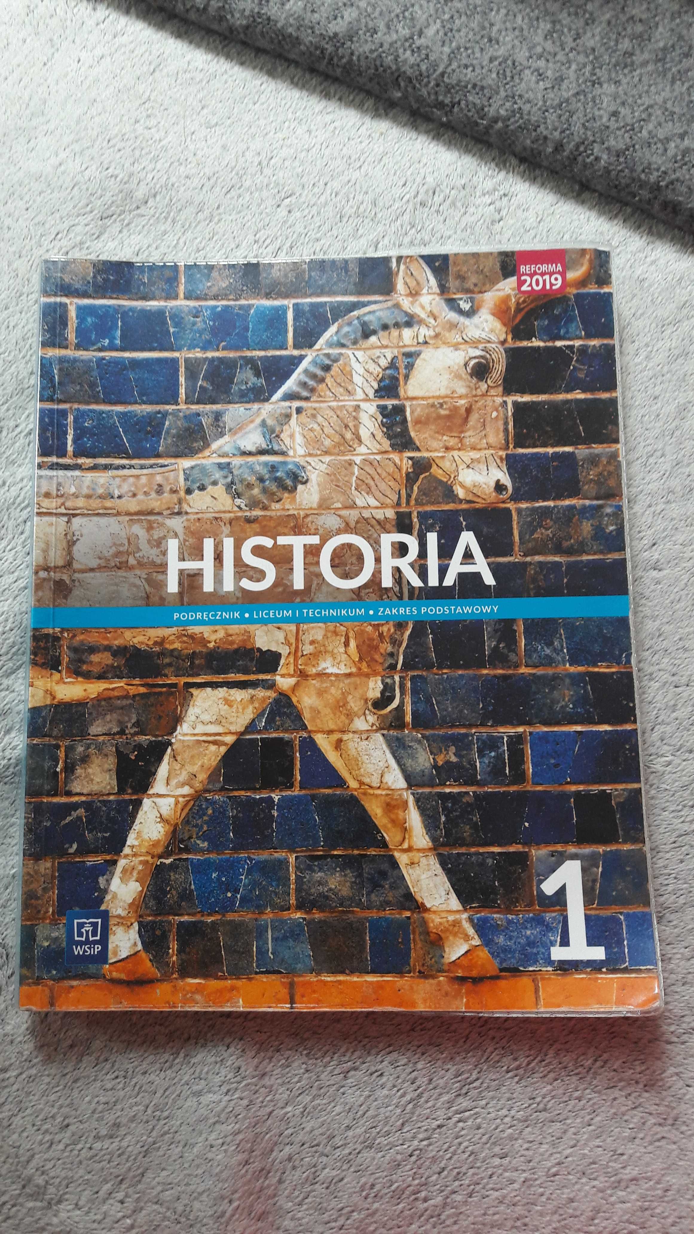 Podręcznik historia klasa 1 WSiP