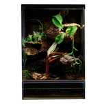 Terrarium tropikalne 40x40x60