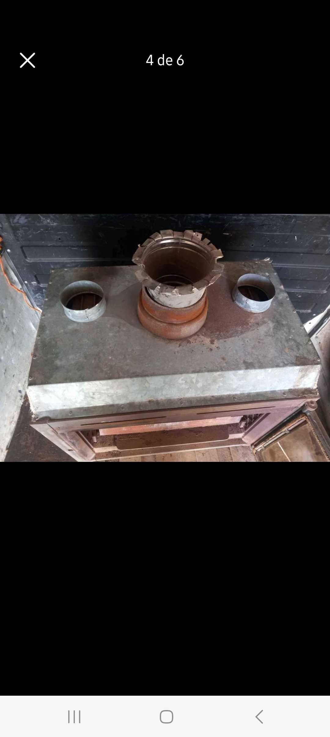 Vendo Salamandra
