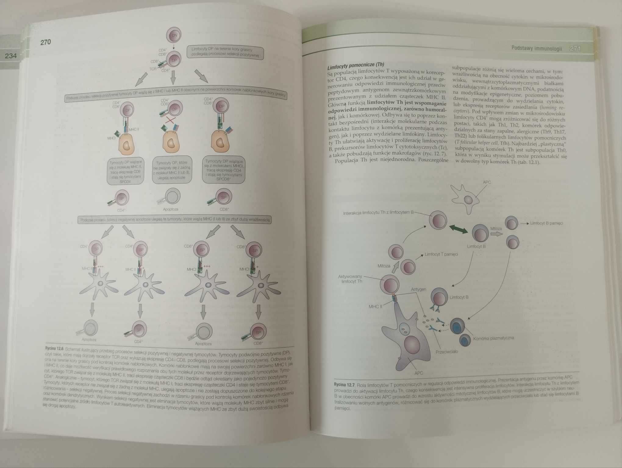 Seminaria z cytofizjologii J. Kawiak, M. Zabel