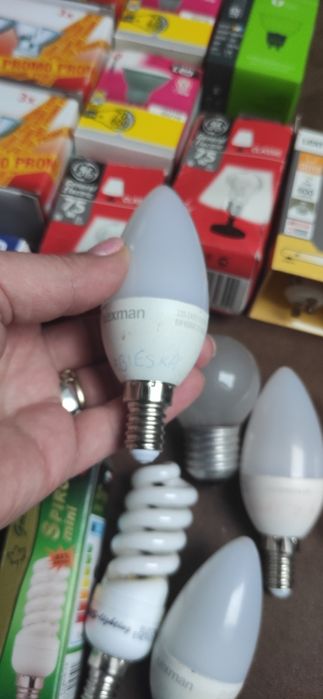 Zestaw różnych żarówek