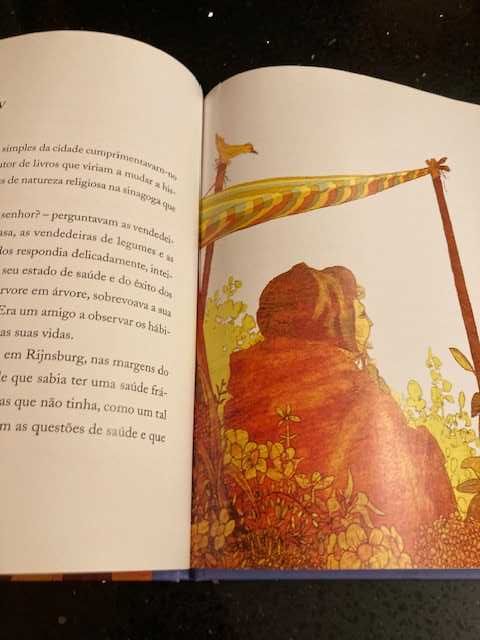 Livro O pardal de Espinosa de José Jorge Letria