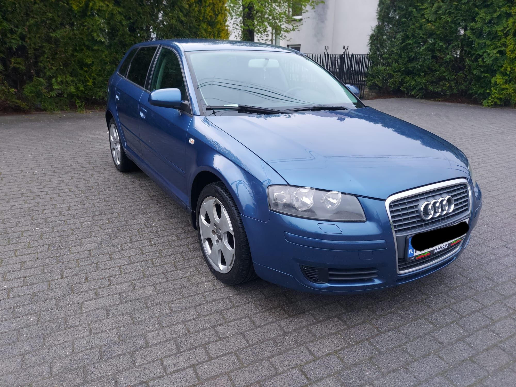 Audi A3 1.6 5drzwi MPI Tempomat Zarejestrowana Isofix