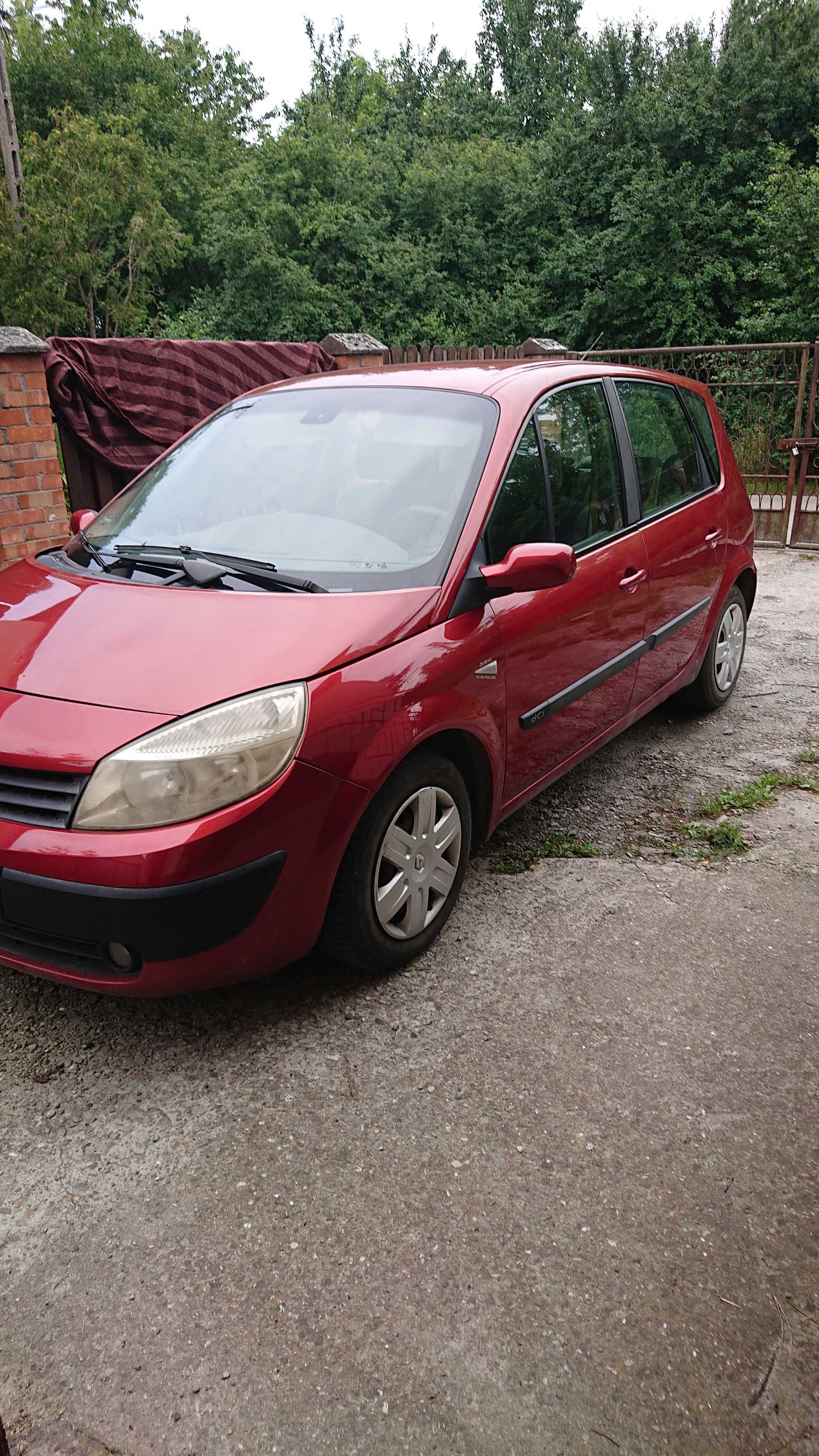 Megane Scenic 1,5dci 2004r.