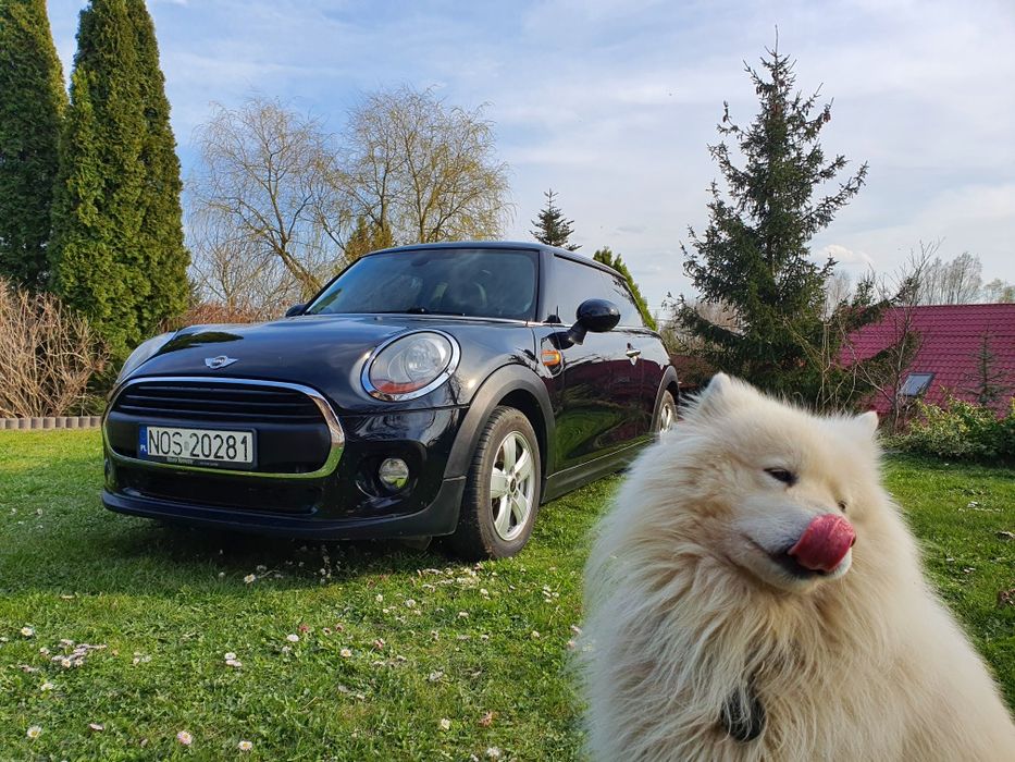 MINI COOPER (2015, 139137] 7 lat jeden właściciel