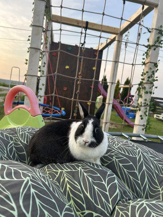 Domek caloroczny sw.Katarzyna/Krajno