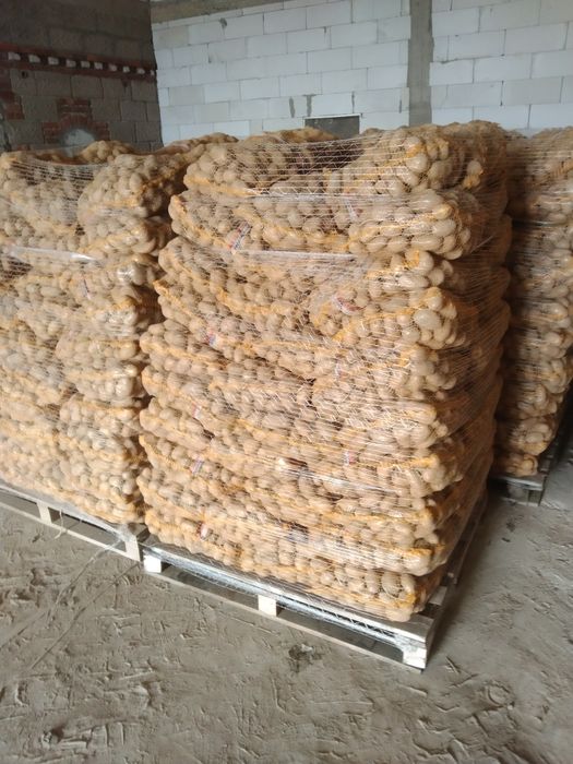 Ziemniaki Jadalne Queen Anna ilości Hurtowe