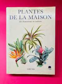 Plantes de la Maison - Jirí Haager