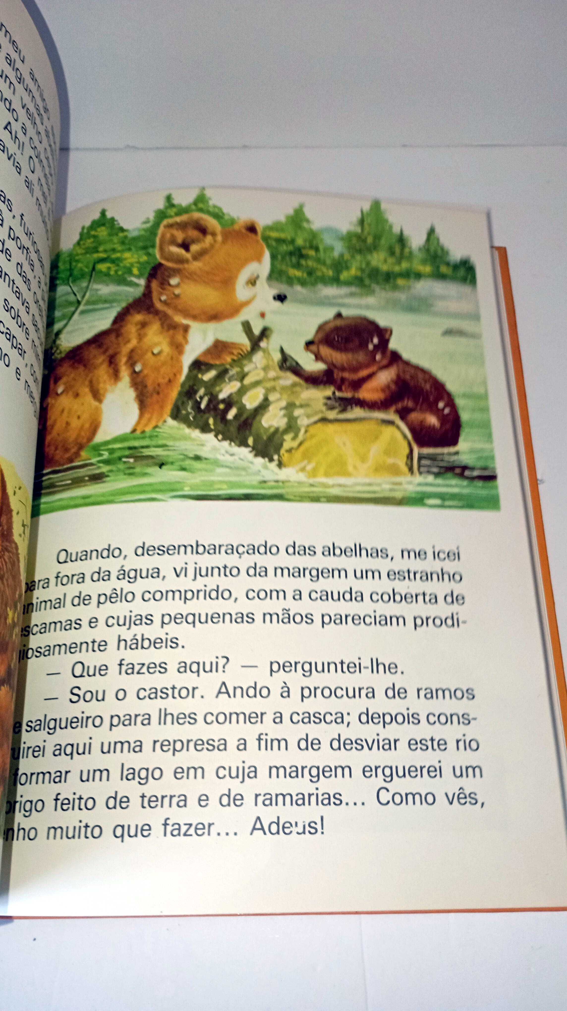 Ursinho e o seus amigos
