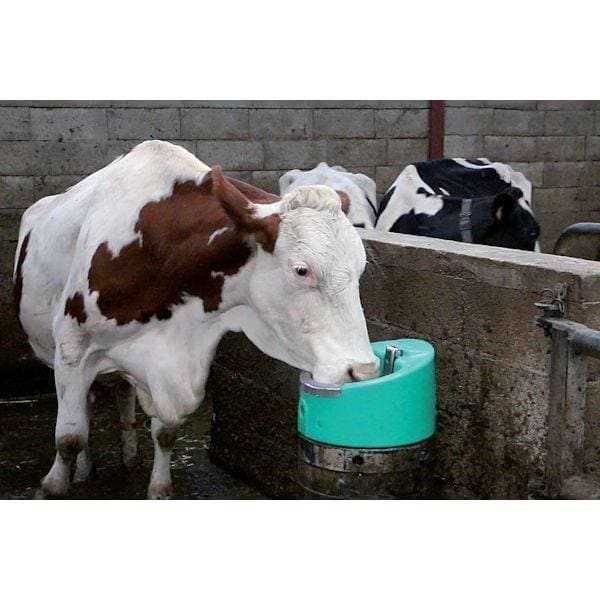 Poidło podgrzewane La Buvette STALCHO, 24V / 50W