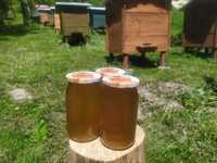 Miód pszczeli wielokwiatowy naturalny