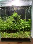 Akwarium 30l aquael