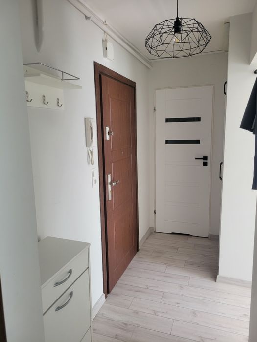 Mieszkanie do wynajęcia