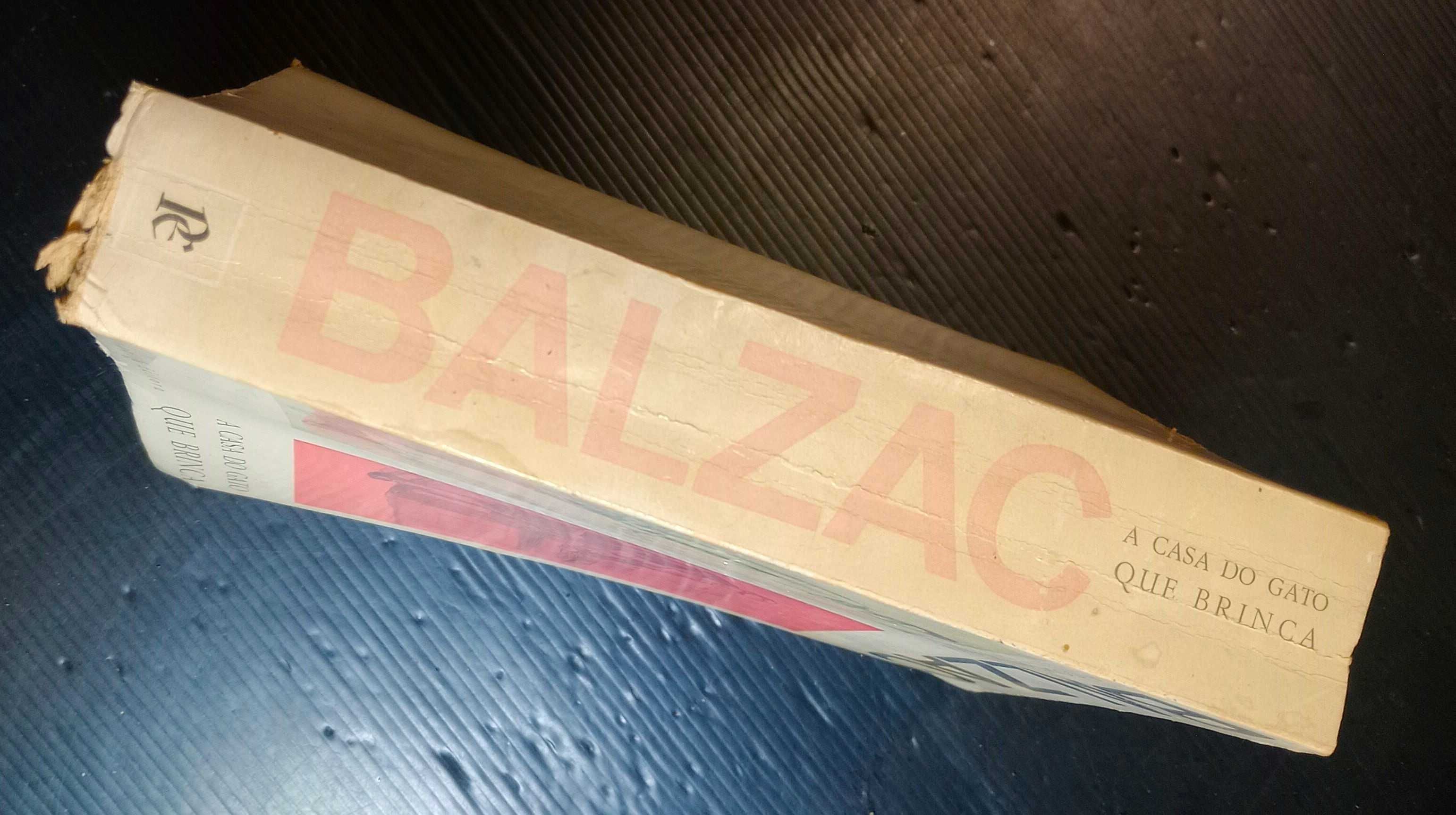 Livro Balzac - A casa do gato que brinca