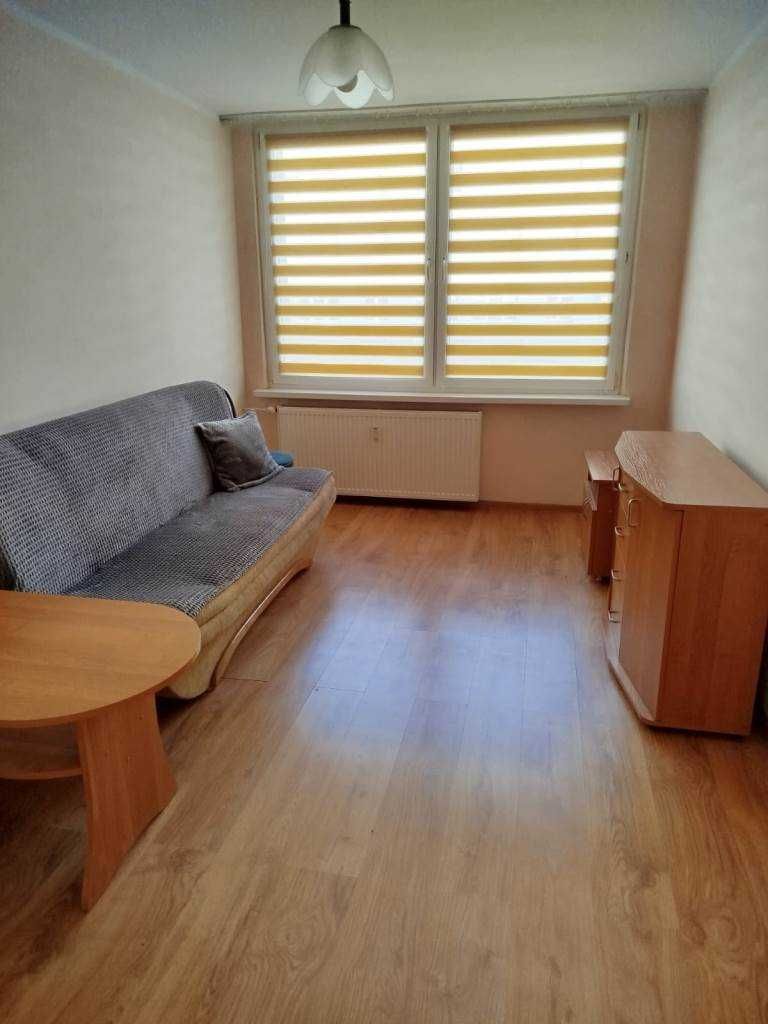 Wynajem mieszkanie Osada Jana