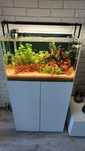 Zestaw Aquael Ultrascape 60 snow