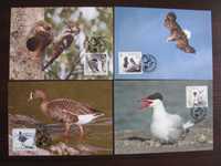 Szwecja-Maxim karty-Ptaki, dzięcioł, jastrząb-WWF
