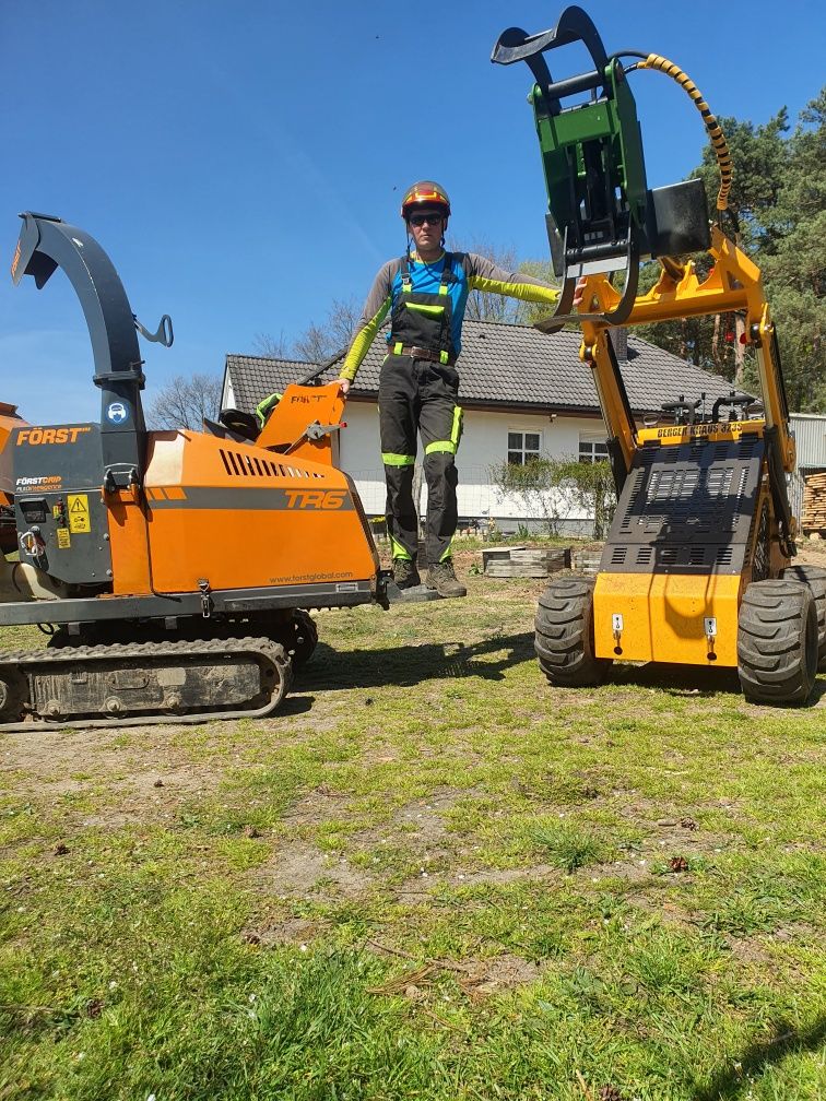 Wycinka drzew alpinistyczna wywóz z załadunkiem