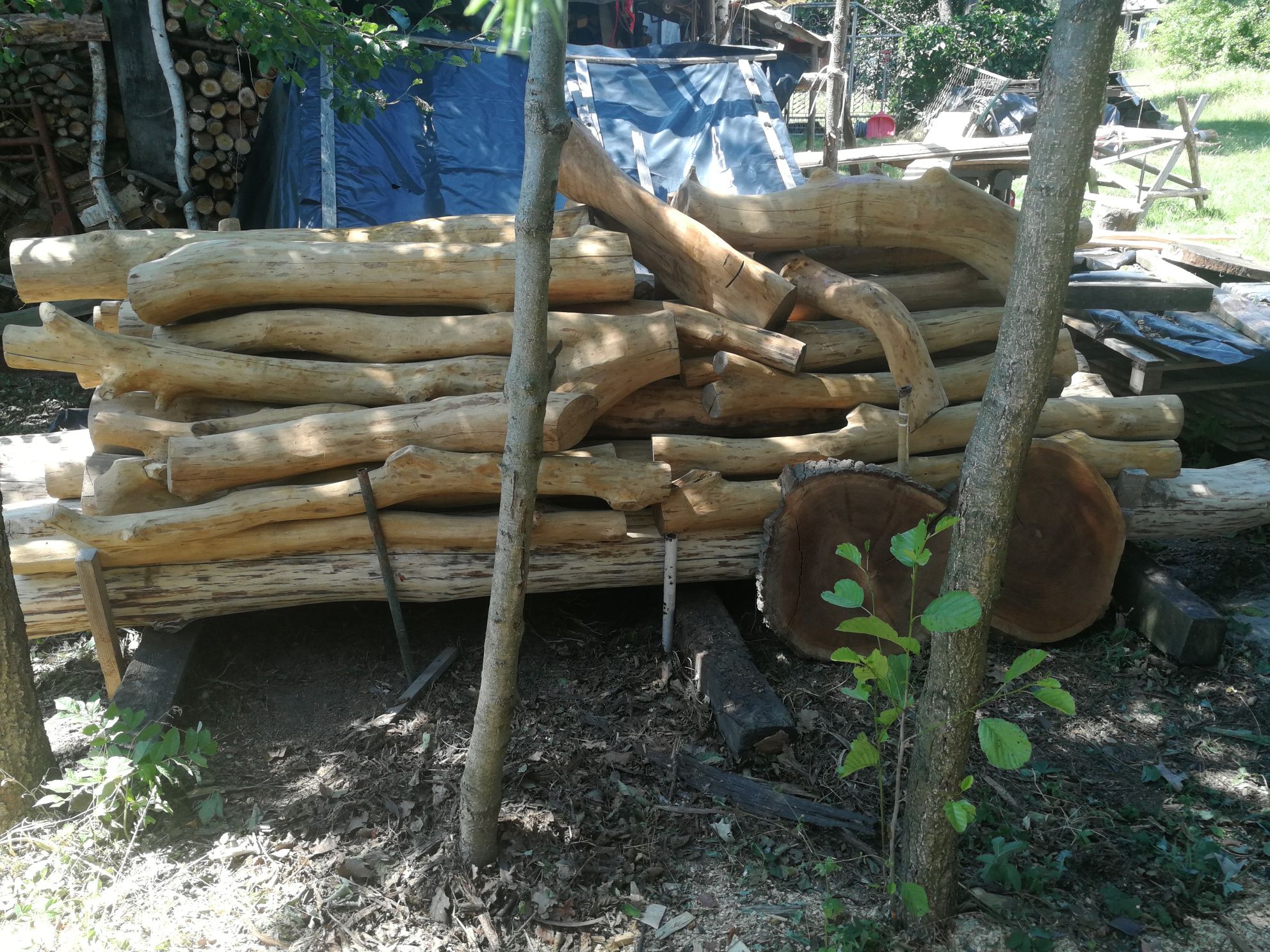 Drzewo materiał na altankę Dąb