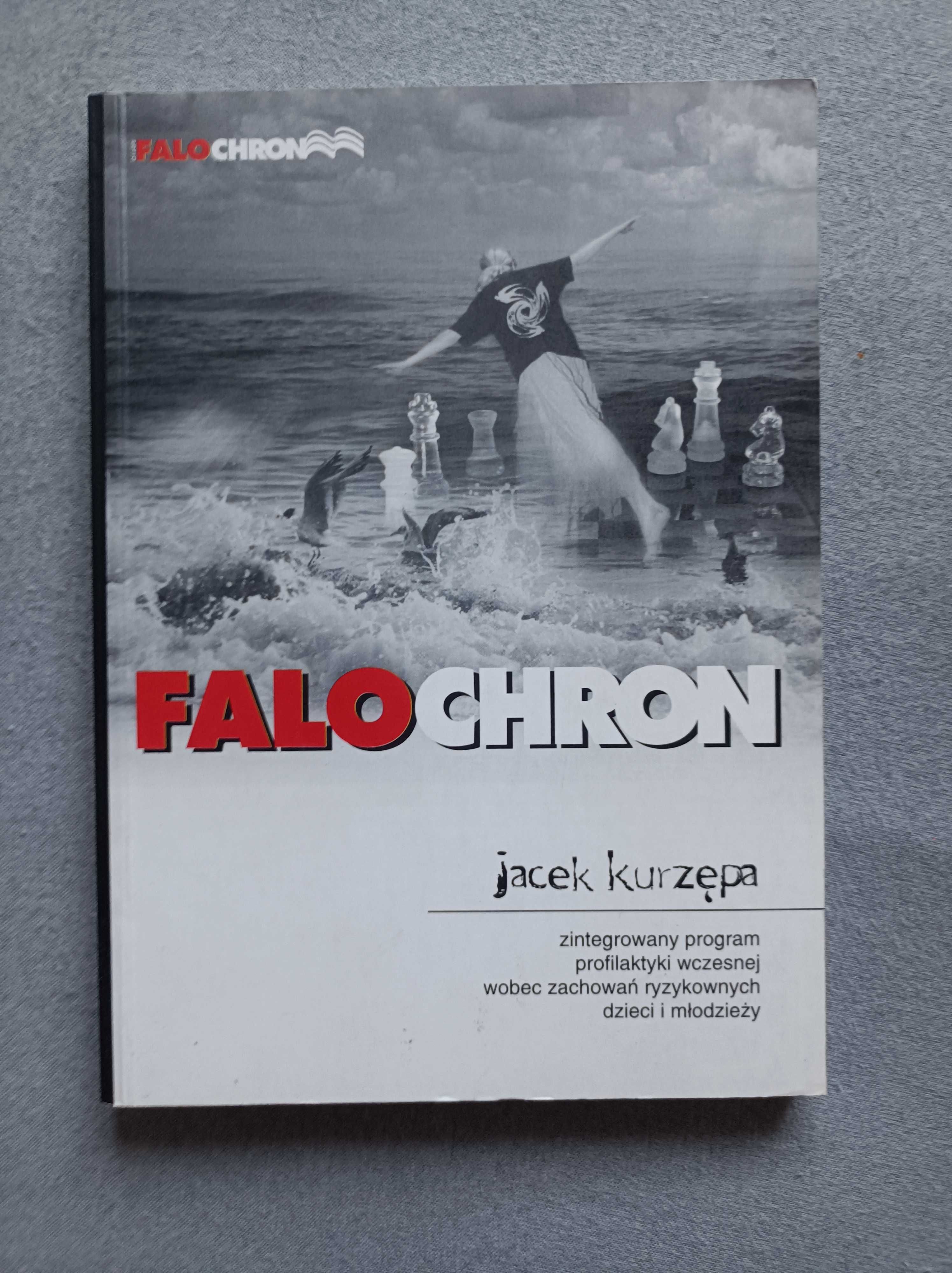 Książka Falochron Jacek Kurzępa