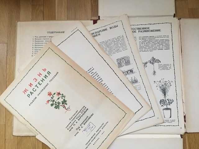 1947 "Жизнь Растения" Альбом наглядных пособий 28 плакатов