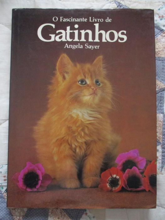 o fascinante livro dos gatinhos angela sayer