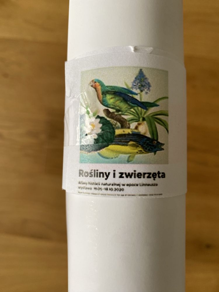 Plakat rośliny i zwierzęta w epoce Linneusza