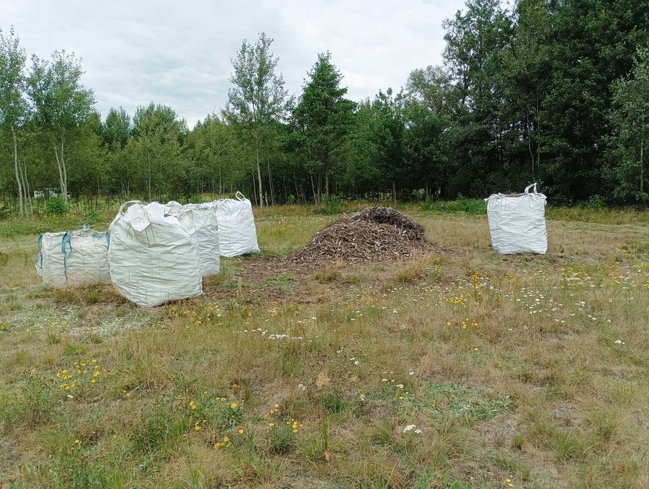 Drewno patyki gałązki na podpałkę podpałka z rębaka