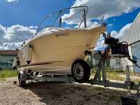Quicksilver 460 Cabin 2004 – Tohatsu 50cv como novo – GPS, sonda,