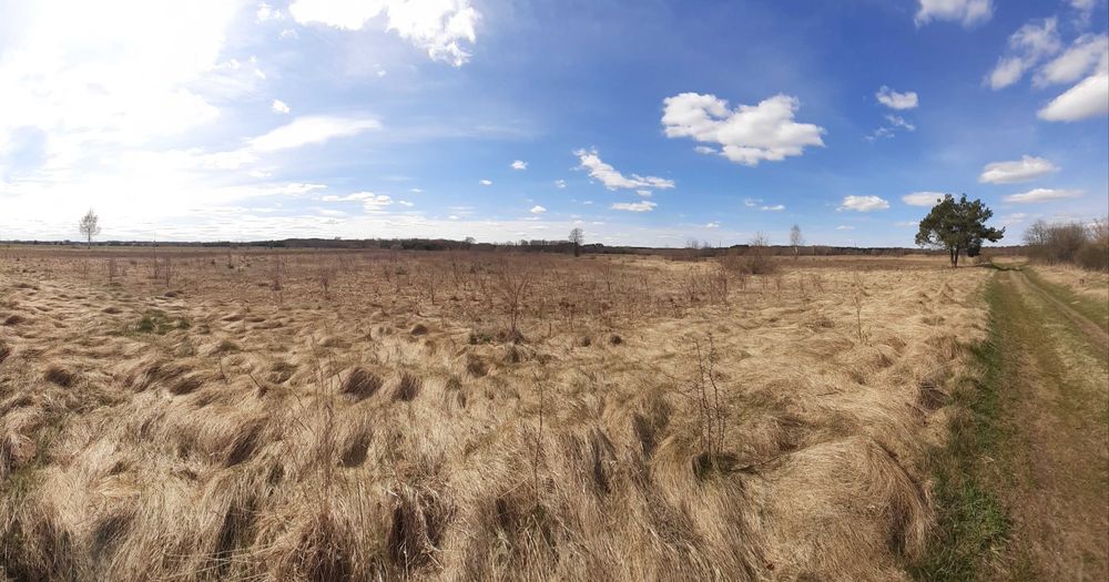 Ziemia rolna 2 hektary Brzóza gm.Głowaczów