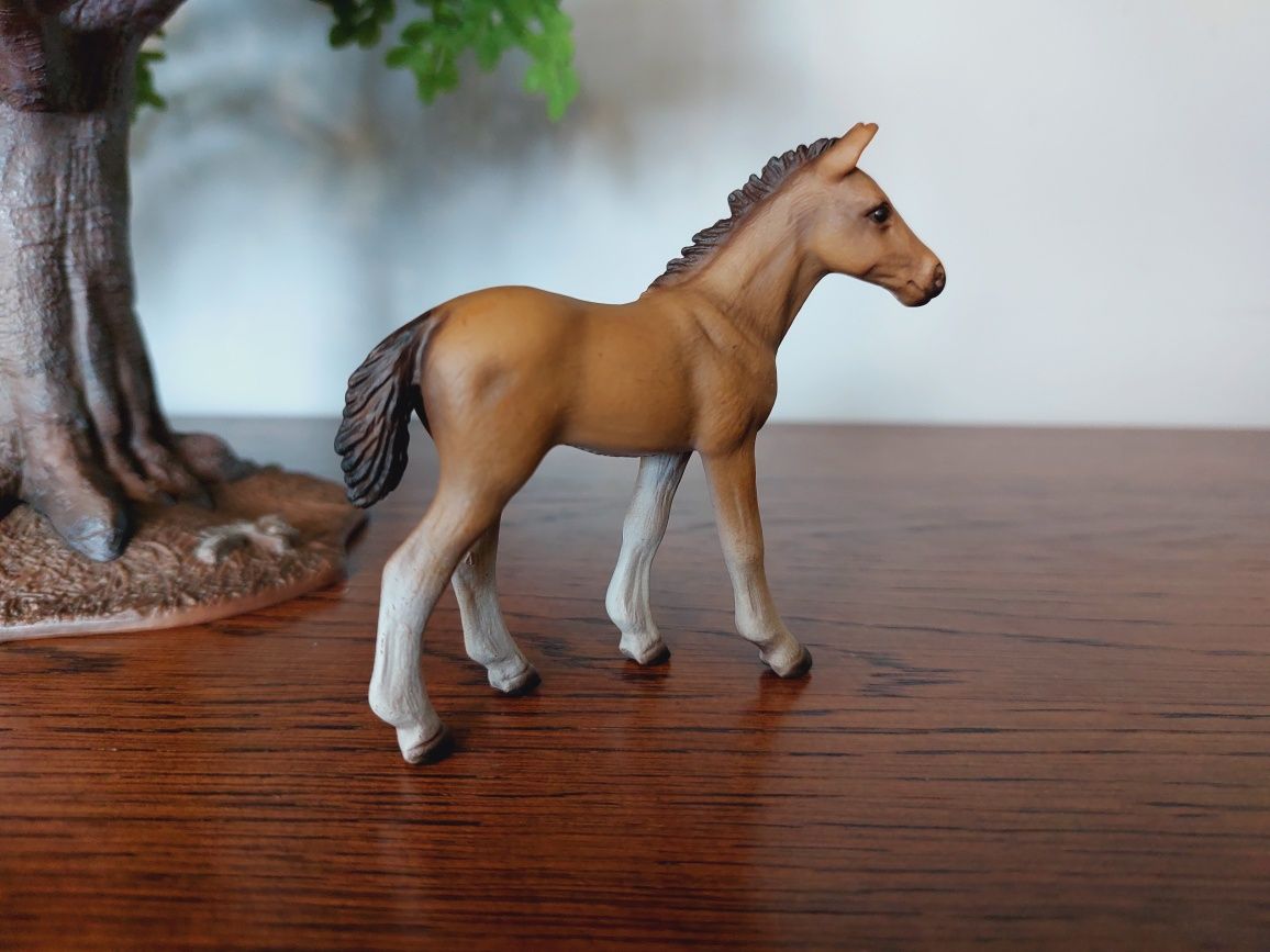 Źrebak hanowerski schleich