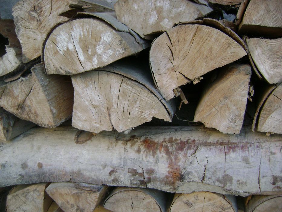 drewno drzewo opałowe suche  bukowe mieszane gotowe do palenia