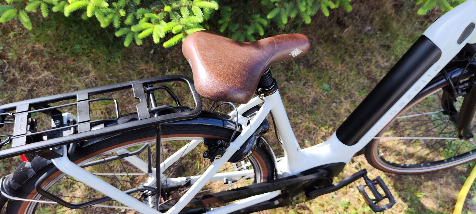 Gazelle grenoble Arroyo c7+ bosch miejski damka piękny unisex