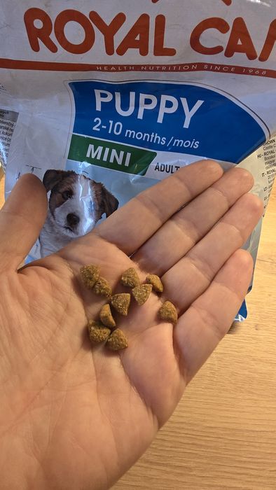 Karma Royal Canin dla szczeniąt małych ras.