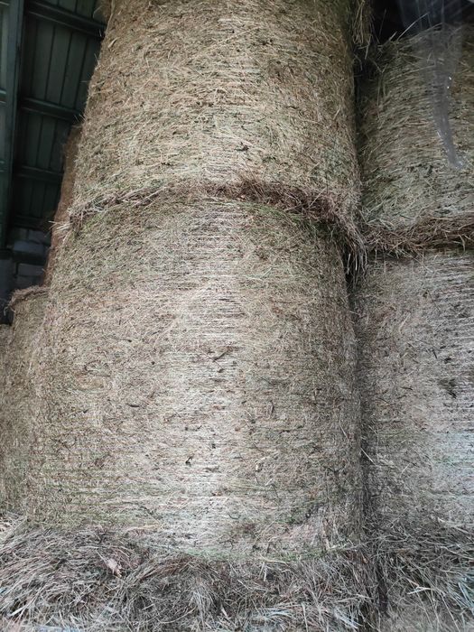 Siano w belach siano dla koni siano dla bydła możliwy transport