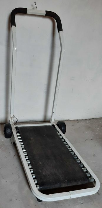 bieznia dla sportowcow seniorow i zwierzakow