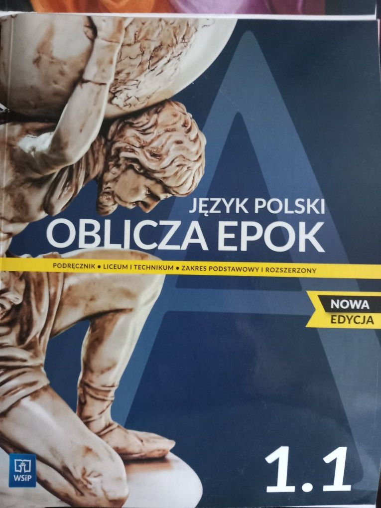 Język polski oblicza epok WSiP nowa edycja 1.1