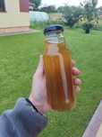 Sok Skrzyp z pokrzywą + cytryna 300ml