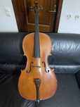 Violoncelo Stentor