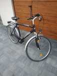 Rower trekkingowy Pegasus