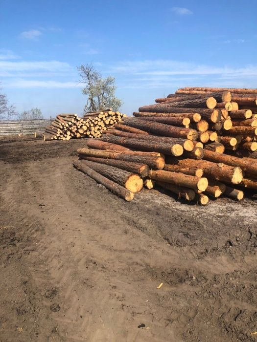 Брус обрезной 150*50 мм*6м ( Доска, Рейка )  Низкая цена