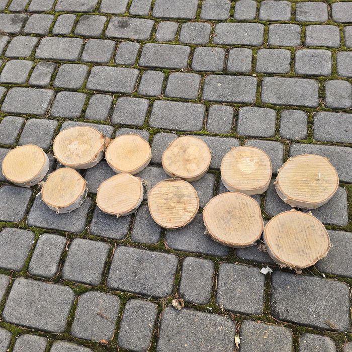 Ozdoby świąteczne plastry brzozy 11 szt.