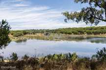HERDADE de Vale de Alcácer, um paraíso de oportunidades e rentabilidad
