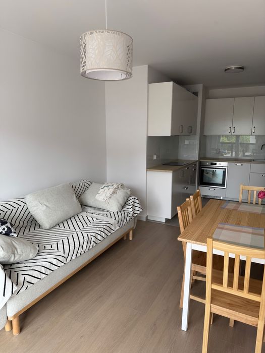 Wynajmę mieszkanie od zaraz