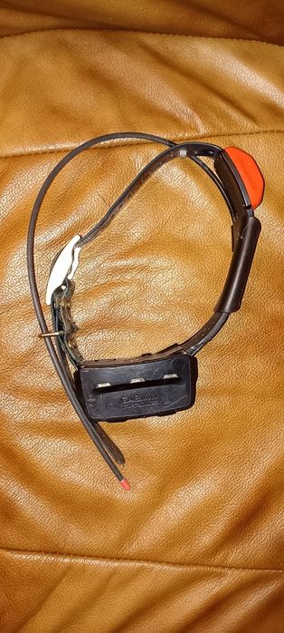 Ошийник Garmin T5