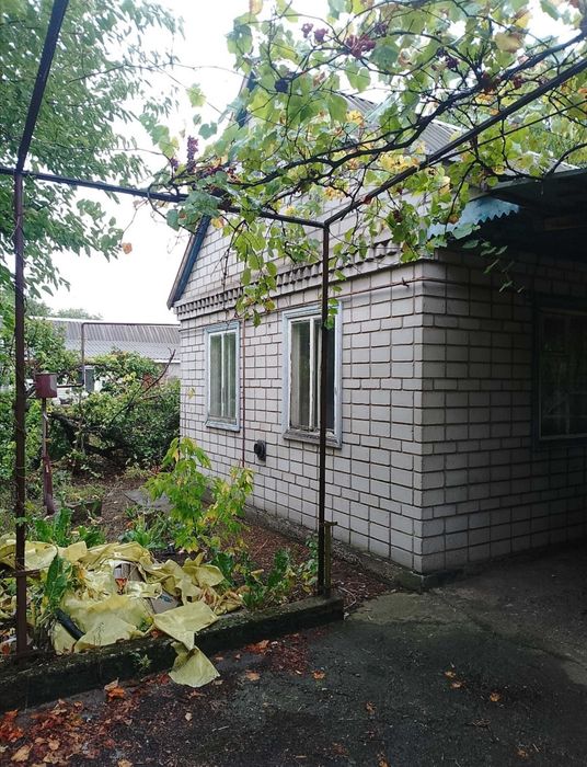 Продам Дом. Каменское Л/Б. Куриловка. Петриковский район. Лес Рядом!