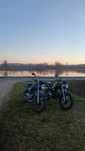 Barton Fighter 50/110 (GB Street, Benzer Shaft, Router WS50)