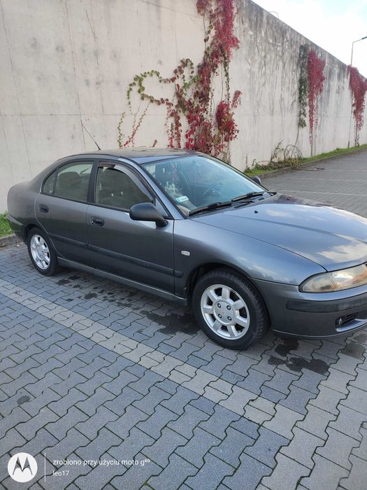 Misiek do przytulenia...