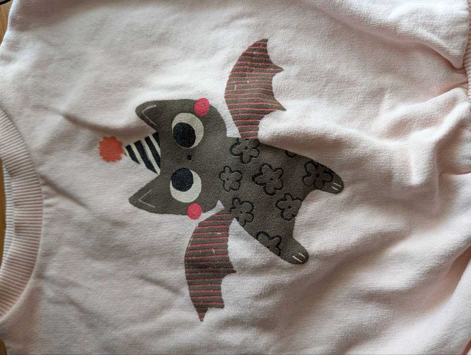 Дитячий світшот з кажанчиком Next і крила кажана вік 1.5-2 роки